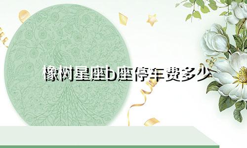 橡树星座b座停车费多少