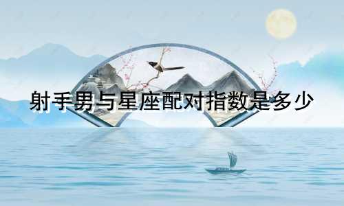 射手男与星座配对指数是多少