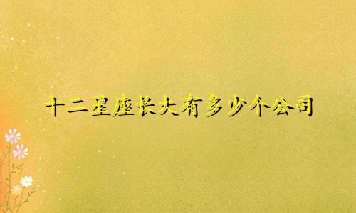 十二星座长大有多少个公司
