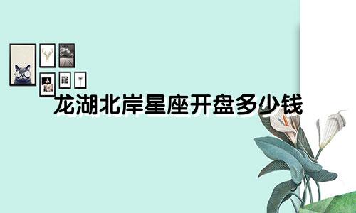 龙湖北岸星座开盘多少钱