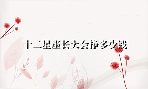 十二星座长大会挣多少钱