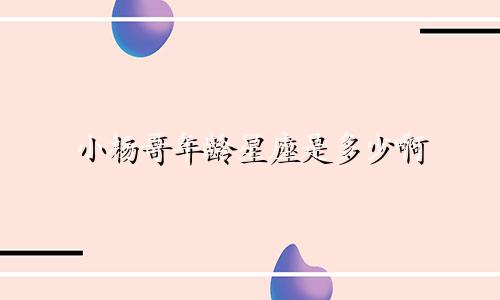 小杨哥年龄星座是多少啊