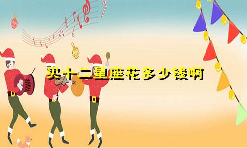 买十二星座花多少钱啊