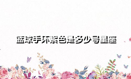 篮球手环紫色是多少号星座