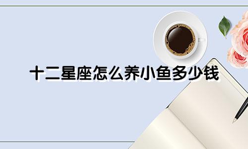 十二星座怎么养小鱼多少钱