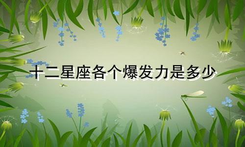 十二星座各个爆发力是多少