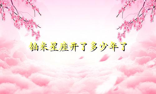 铂米星座开了多少年了