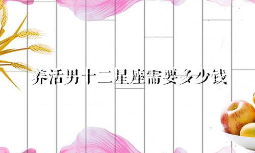 养活男十二星座需要多少钱