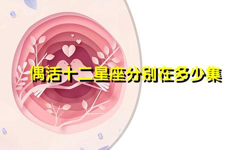 偶活十二星座分别在多少集