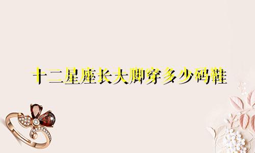 十二星座长大脚穿多少码鞋