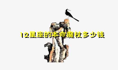 12星座的本命魔杖多少钱