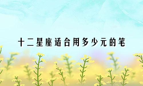 十二星座适合用多少元的笔