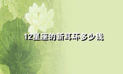 12星座的新耳环多少钱
