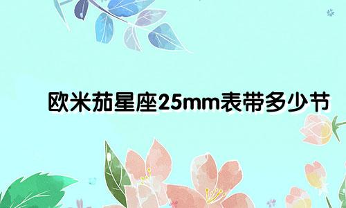 欧米茄星座25mm表带多少节