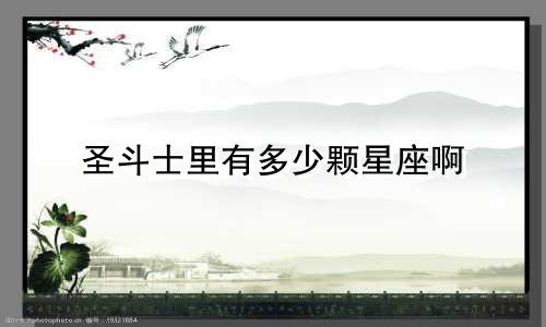 圣斗士里有多少颗星座啊