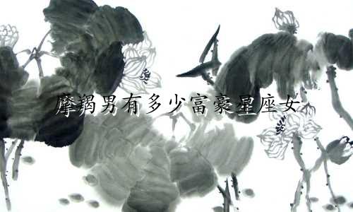 摩羯男有多少富豪星座女