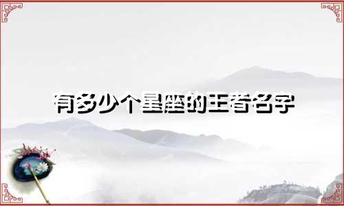 有多少个星座的王者名字