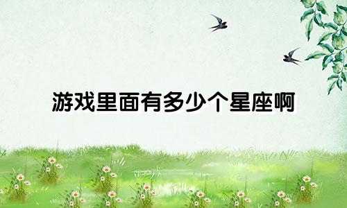 游戏里面有多少个星座啊