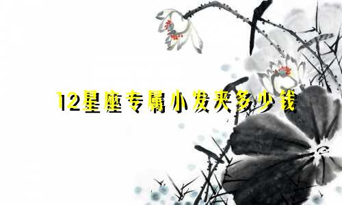 12星座专属小发夹多少钱