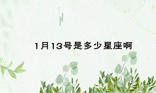 1月13号是多少星座啊