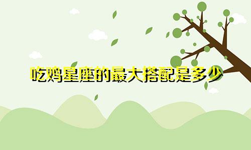 吃鸡星座的最大搭配是多少