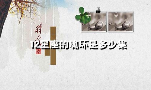 12星座的魂环是多少集