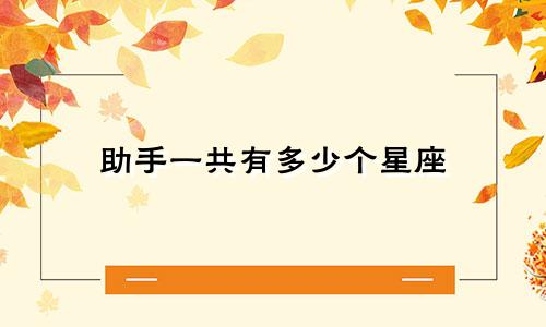 助手一共有多少个星座