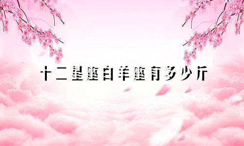 十二星座白羊座有多少斤
