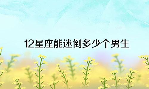 12星座能迷倒多少个男生