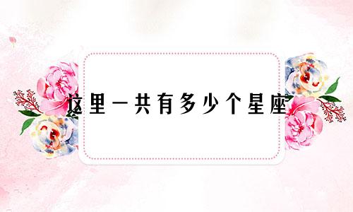这里一共有多少个星座