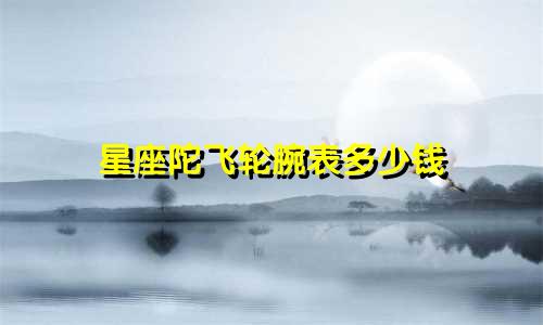 星座陀飞轮腕表多少钱