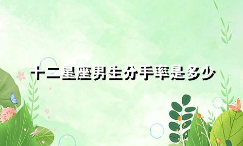 十二星座男生分手率是多少