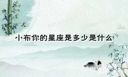 小布你的星座是多少是什么