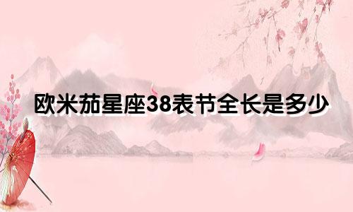 欧米茄星座38表节全长是多少