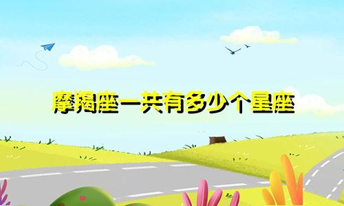 摩羯座一共有多少个星座