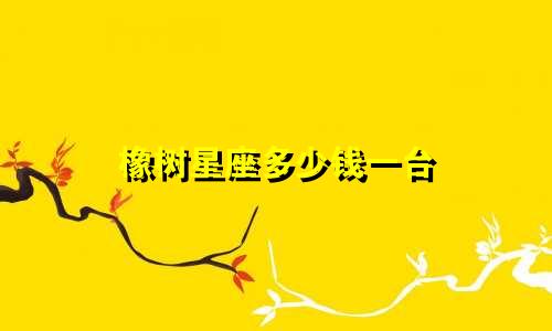 橡树星座多少钱一台