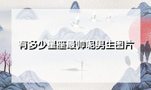 有多少星座最帅呢男生图片