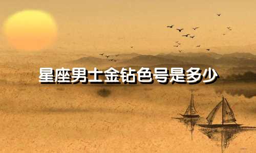星座男士金钻色号是多少