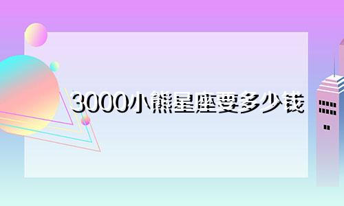 3000小熊星座要多少钱