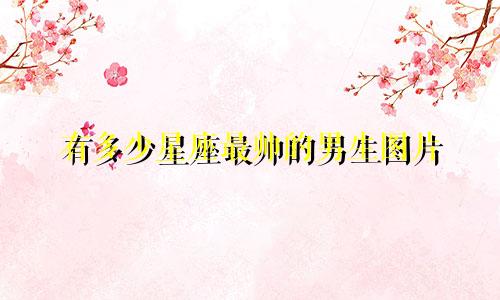有多少星座最帅的男生图片