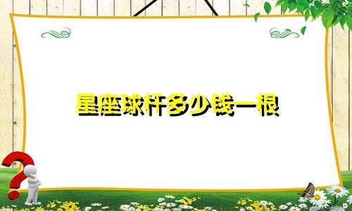 星座球杆多少钱一根