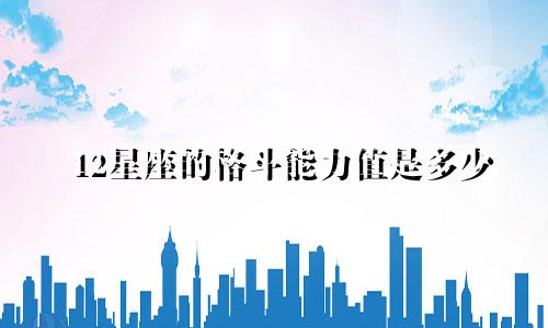 12星座的格斗能力值是多少