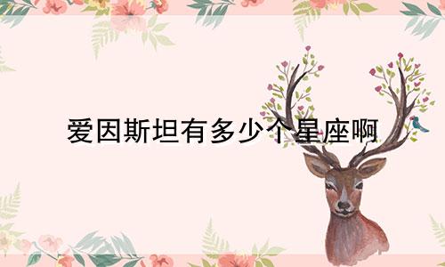爱因斯坦有多少个星座啊