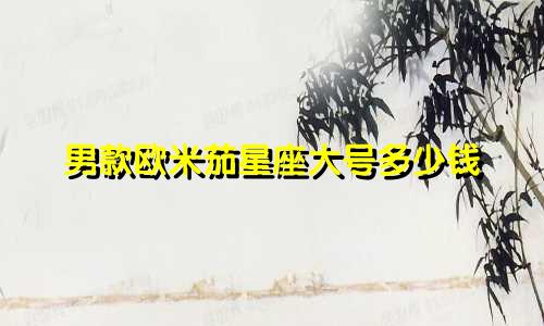 男款欧米茄星座大号多少钱