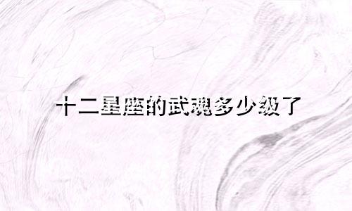 十二星座的武魂多少级了