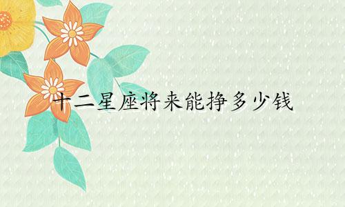 十二星座将来能挣多少钱