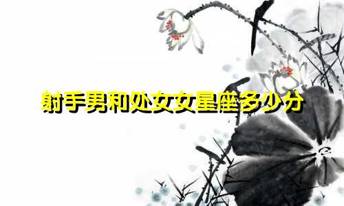 射手男和处女女星座多少分