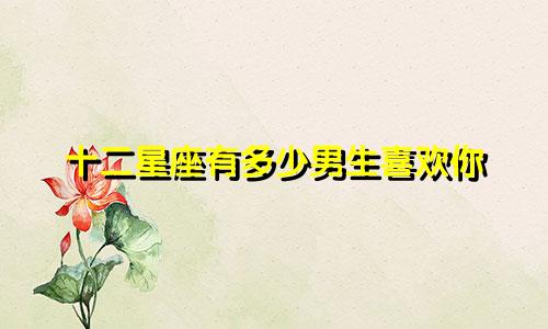 十二星座有多少男生喜欢你