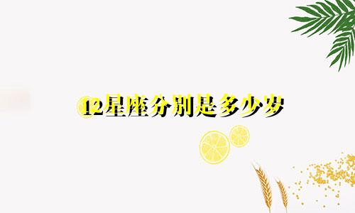 12星座分别是多少岁