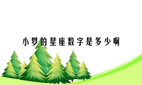 小罗的星座数字是多少啊